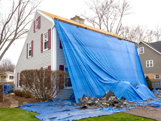 Best Property Management Cleanouts  in Marceline, MO