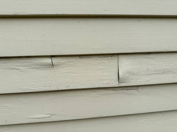 Best Garage Cleanout  in Marceline, MO